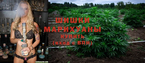 шишки Абаза