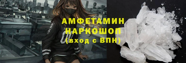 шишки Абаза