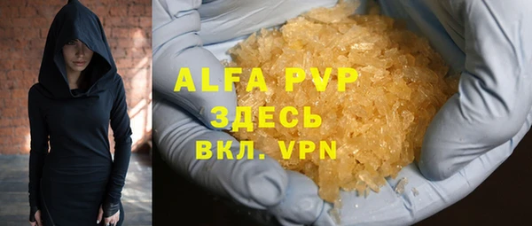шишки Абаза