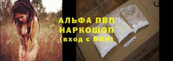 шишки Абаза