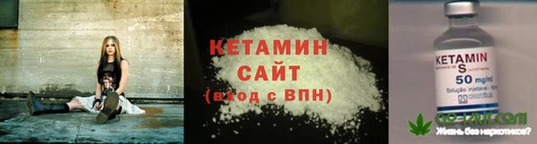 шишки Абаза
