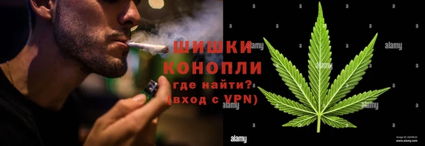 шишки Абаза