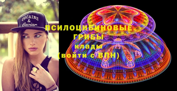 ПСИЛОЦИБИНОВЫЕ ГРИБЫ Абинск