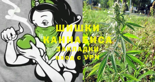 стафф Осинники