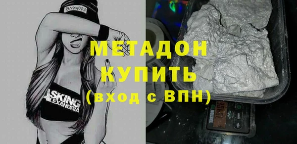шишки Абаза