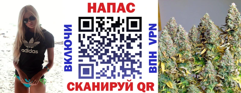 Канабис ГИДРОПОН  Тарко-Сале 